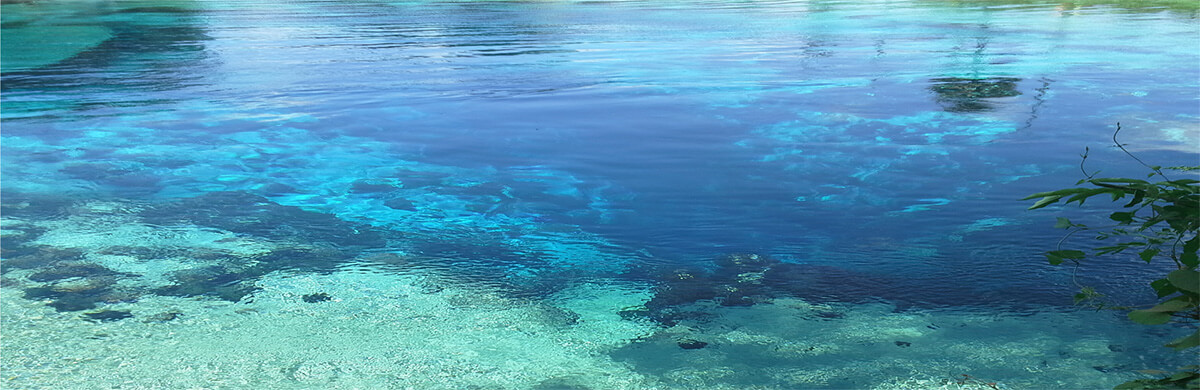 water-school-banner_orig (1)